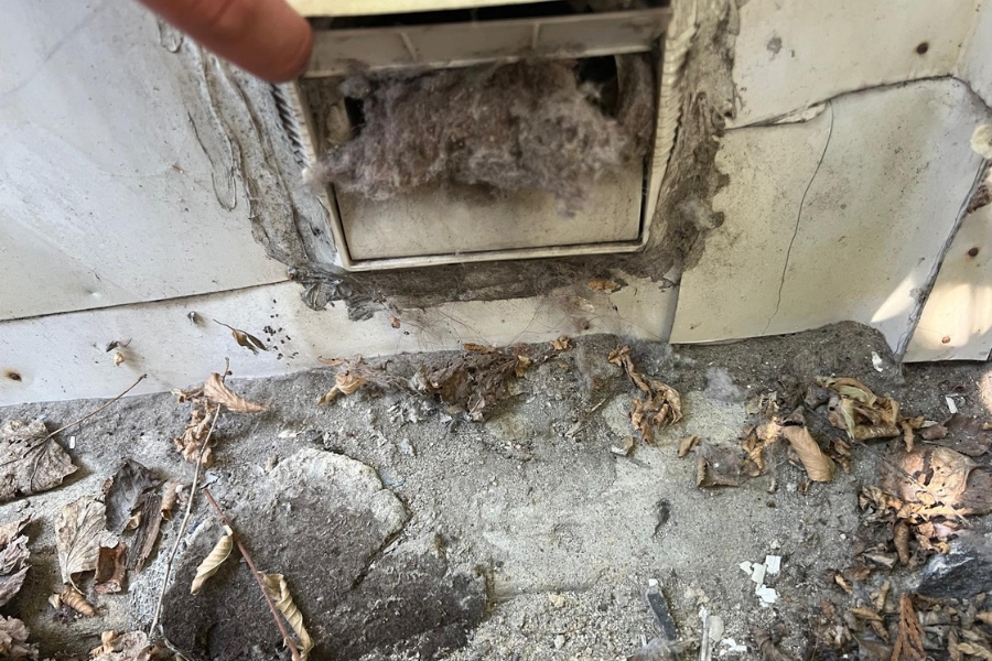 dryer vent hose connected to outside vent flap