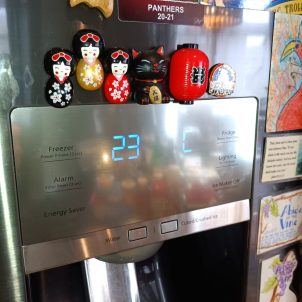 kitchen appliance fix