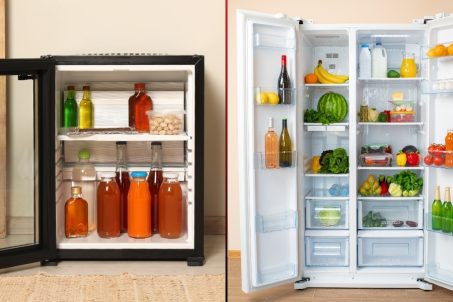 compact vs. full-size fridge comparison
