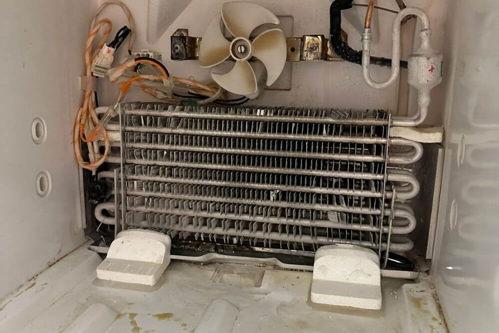 Appliance repair services in Wesley Chapel