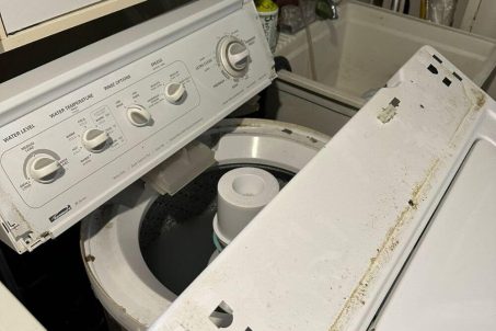 Same day appliance repair services Davidson